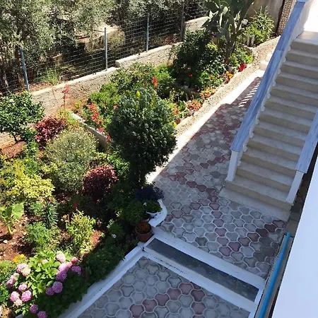 Bardha